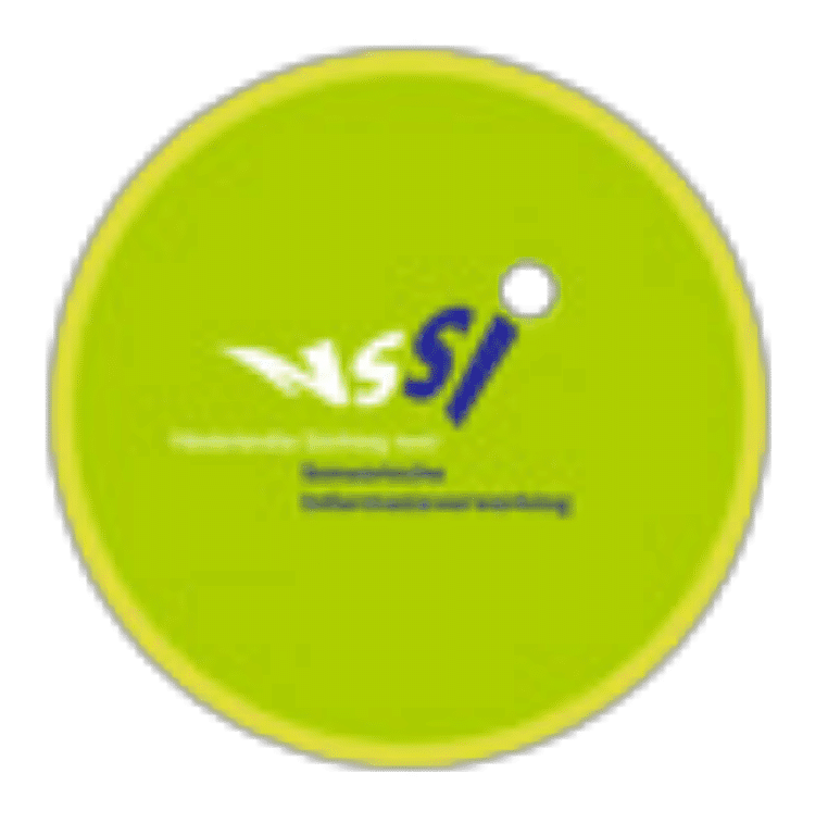 Logo NSSI
